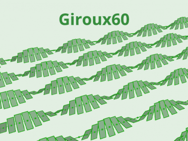 Giroux 60 - Convexity in contact and symplectic topology