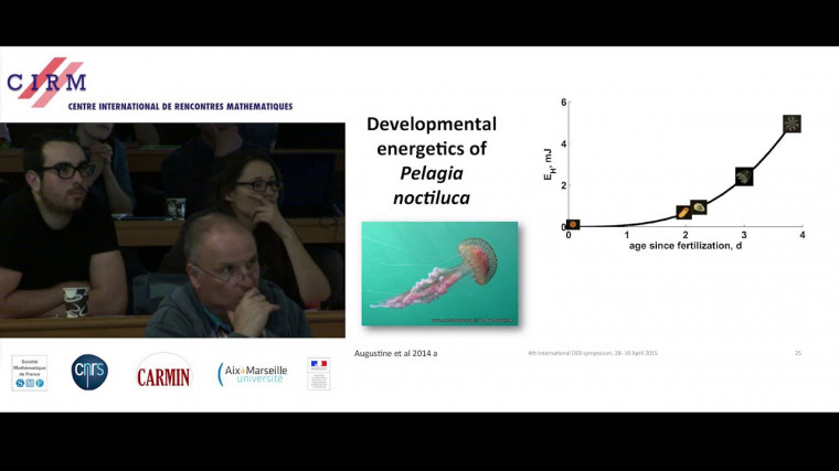 Modeling energy budgets in ecology: DEB theory / Modélisation des budgets d'énergie en écologie : la théorie DEB