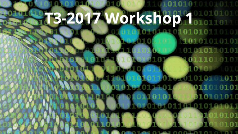 2017 - T3 -  WS1 - Operator algebras and quantum information theory
