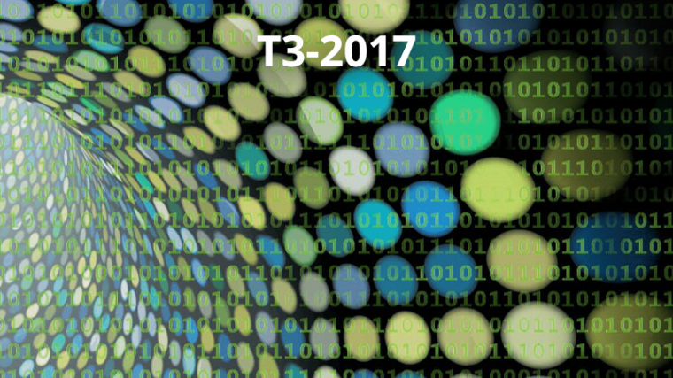 2017 - T3 - Analysis in quantum information theory