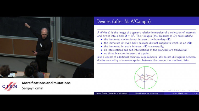 Cluster algebras: twenty years on / Vingt ans d'algèbres amassées