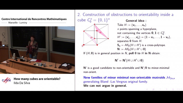 Combinatorial geometries: matroids, oriented matroids and applications / Géométries combinatoires : matroïdes, matroïdes orientés et applications