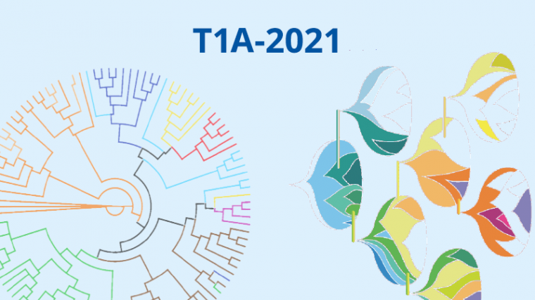 2021 - T1A - Quantitative evolution, phylogeny and ecology : from models to data and back