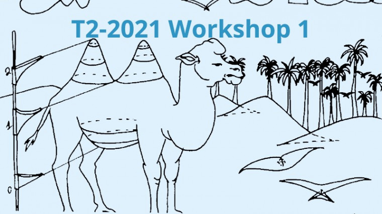 From Hamiltonian Dynamics to Symplectic Topology