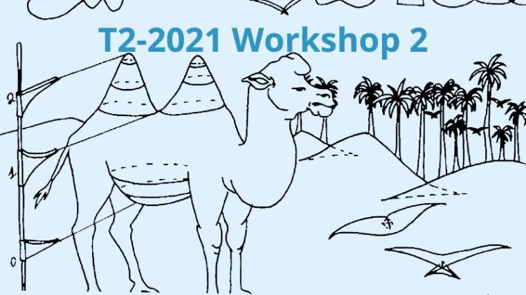 2021 - T2 - WS2 - Advances in symplectic topology