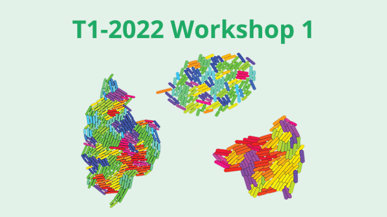 2022 - T1 - WS1 - Tissue growth and movement