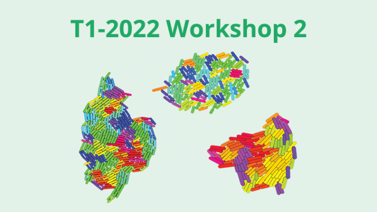 2022 - T1 - WS2 - Mathematical modeling and statistical analysis in neuroscience