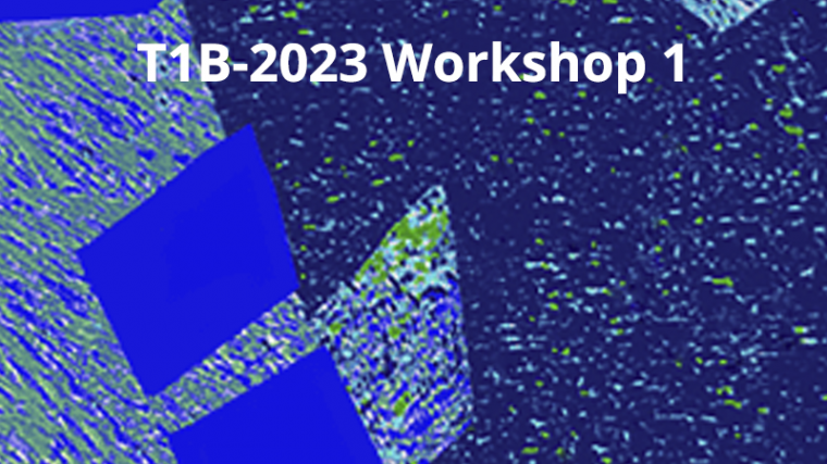 2023 - T1B - WS1 - Structural learning by the brain