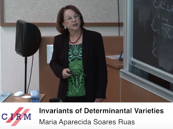 Geometry of singular spaces and maps / Géométrie des espaces et applications singuliers