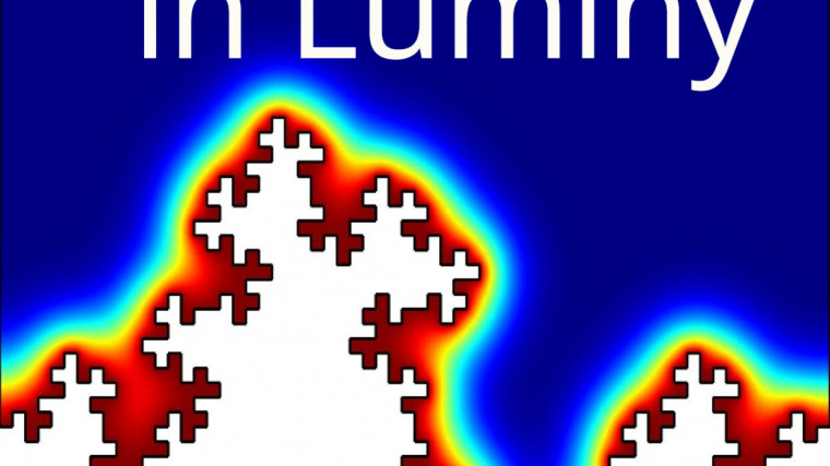 Analysis on fractals and networks, and applications / Analyse sur les fractals et les réseaux, et applications