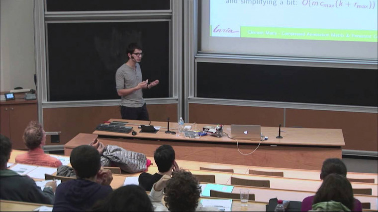 The compressed annotation matrix: an efficient data structure for persistent cohomology