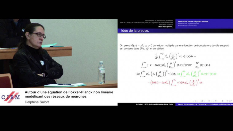 Around a Fokker-Planck equation modeling neuronal networks