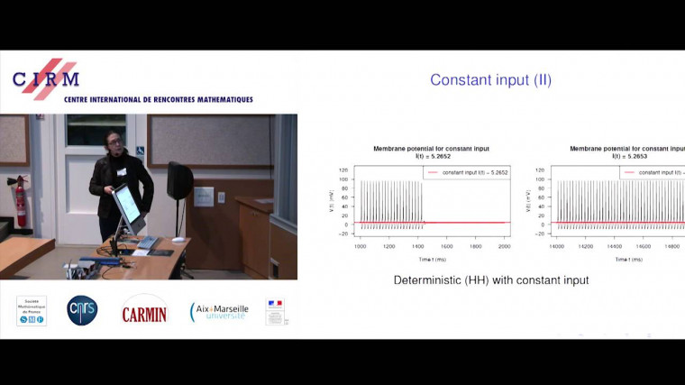 An Hodgkin-Huxley neuron receiving a random periodic signal : ergodicity and estimation