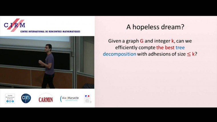 Tree decompositions and graph algorithms