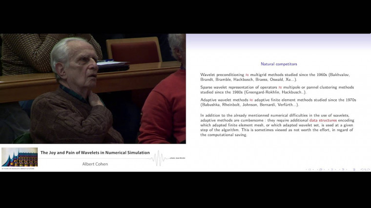 The joy and pain of wavelets in numerical simulation