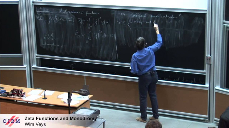 Zeta functions and monodromy