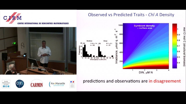 Dynamic Energy Budget Theory as integrative hub for evaluating organismal performance in multivariate environments