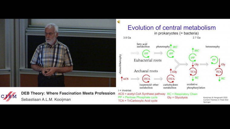 DEB theory: where fascination meets profession