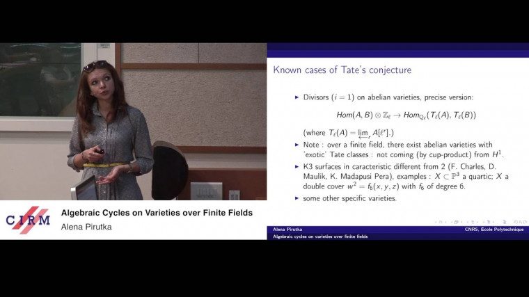 Algebraic cycles on varieties over finite fields