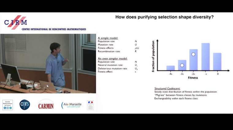 Genetic diversity in the interference selection limit