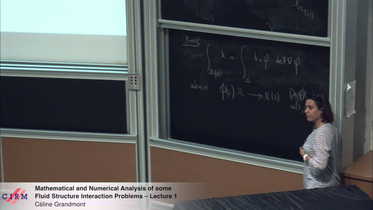 Mathematical and numerical analysis of some fluid structure interaction problems - Lecture 1