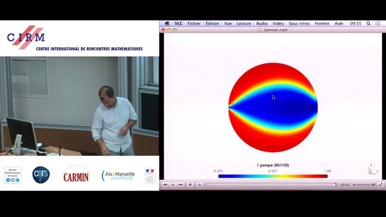 Bioremediation of natural resources: how optimization and numerical simulations can help?