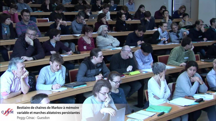 Bestiaire de chaînes de Markov à mémoire variable et marches aléatoires persistantes