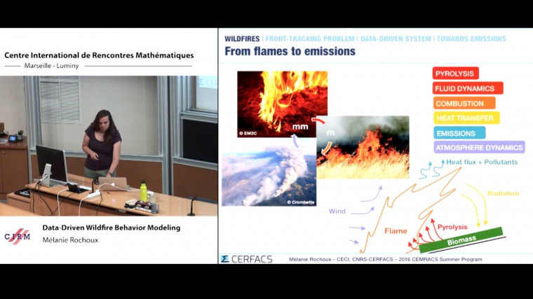 Data-driven wildfire behavior modelling: focus on front level-set data assimilation