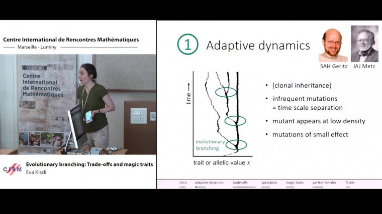 Evolutionary branching: trade-offs and magic traits