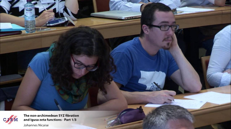 The non-archimedean SYZ fibration and Igusa zeta functions - Part 1