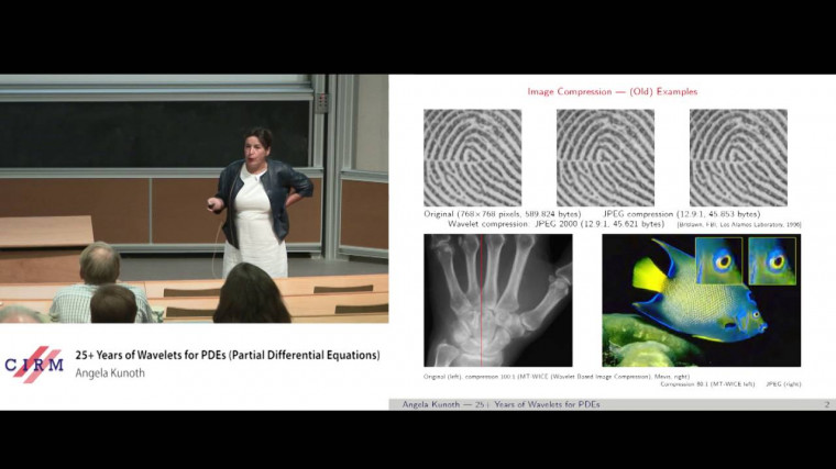 25+ years of wavelets for PDEs