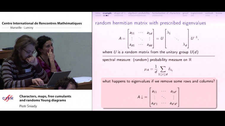 Characters, maps, free cumulants. Lecture 2: Characters, maps, free cumulants and randoms Young diagrams