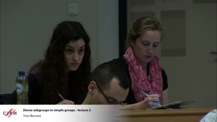 Dense subgroups in simple groups - Lecture 2