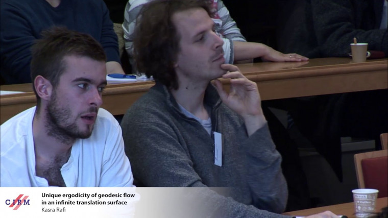 Unique ergodicity of geodesic flow in an infinite translation surface 