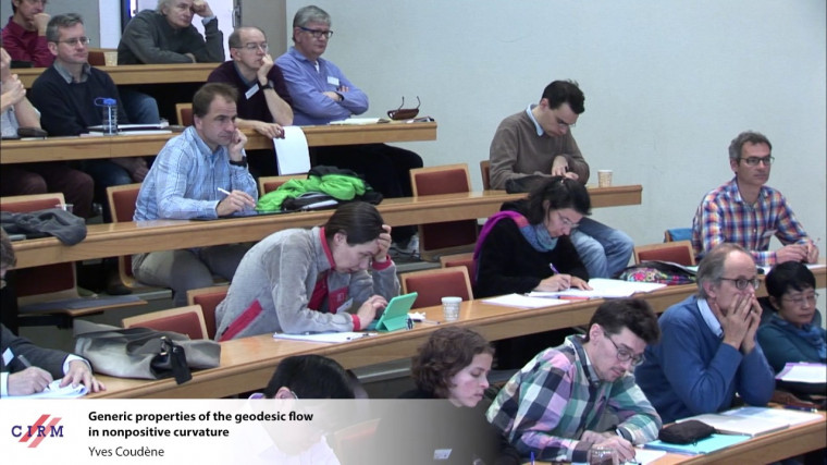 Generic properties of the geodesic flow in nonpositive curvature