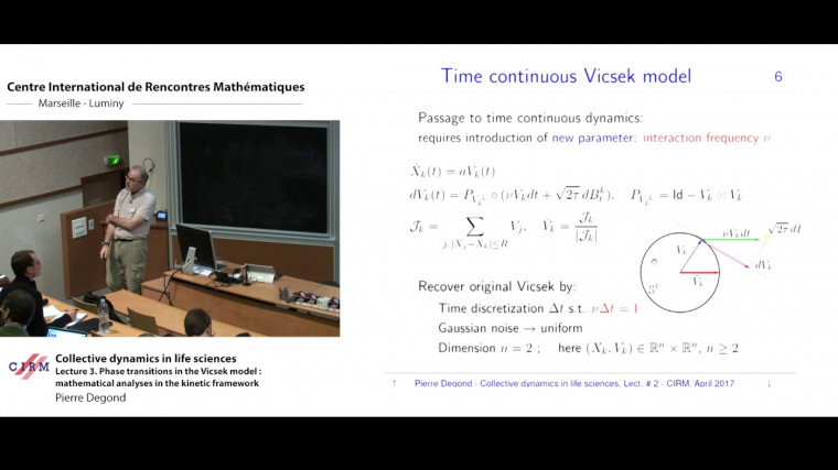 Collective dynamics in life sciences - Lecture 2. The Vicsek model as a paradigm for self-organization: from particles to fluid via kinetic descriptions
