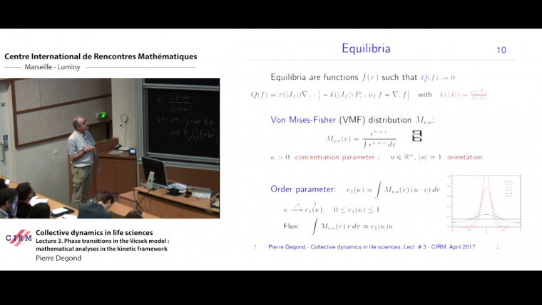 Collective dynamics in life sciences - Lecture 3. Phase transitions in the Vicsek model: mathematical analyses in the kinetic framework