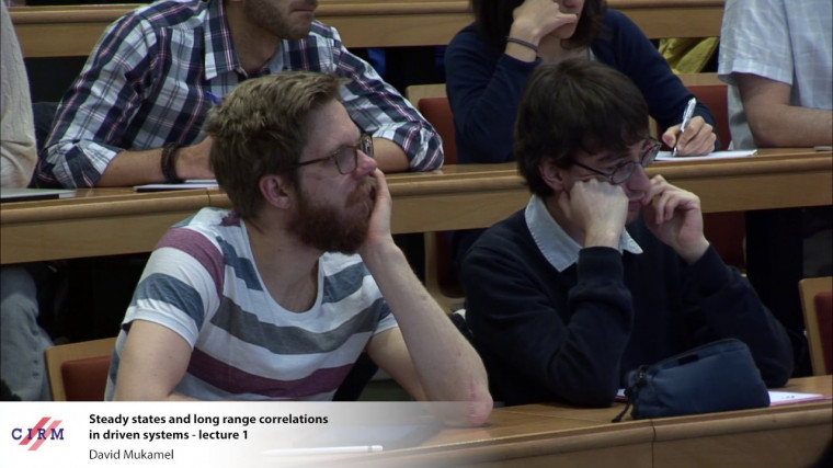 Steady states and long range correlations in driven systems - Lecture 1