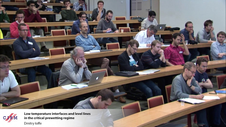 Low temperature interfaces and level lines in the critical prewetting regime