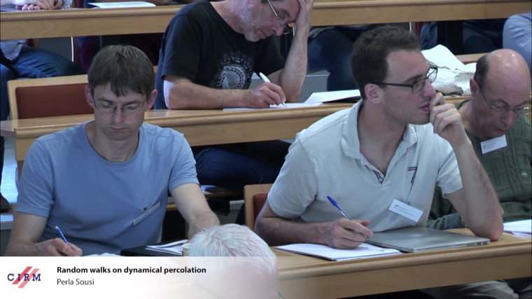 Random walks on dynamical percolation