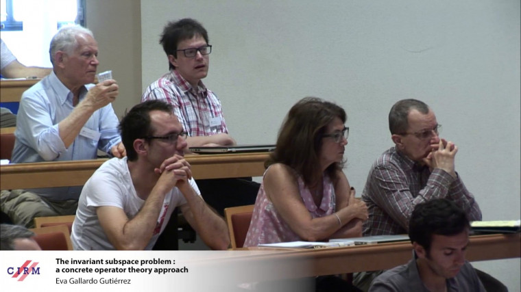 The invariant subspace problem: a concrete operator theory approach