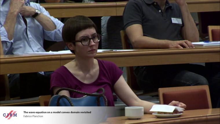 The wave equation on a model convex domain revisited