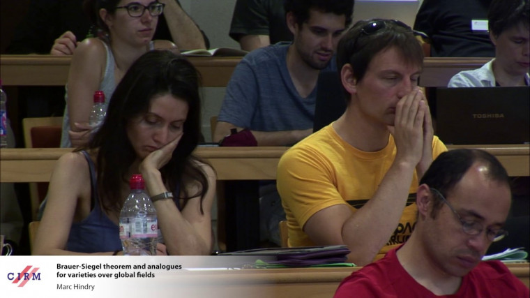 Brauer-Siegel theorem and analogues for varieties over global fields