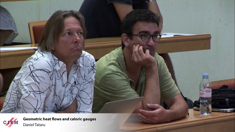 Geometric heat flows and caloric gauges