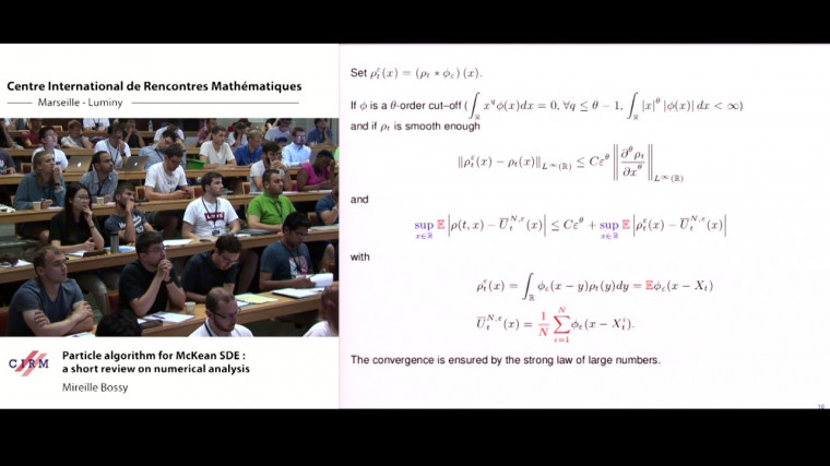 Particle algorithm for McKean SDE: a short review on numerical analysis