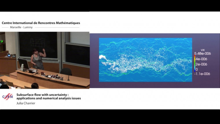 Subsurface flow with uncertainty : applications and numerical analysis issues