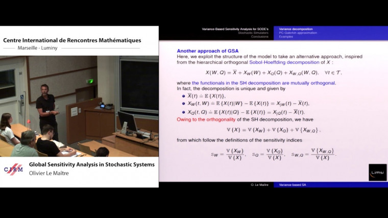 Global sensitivity analysis in stochastic systems