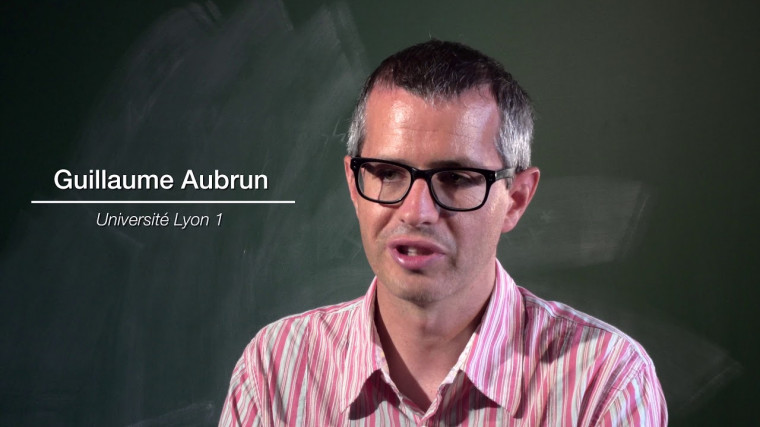 Presentation of the T3 2017 : "Analysis in Quantum Information Theory"