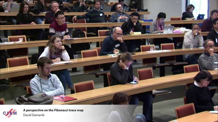 A perspective on the The Fibonacci trace map