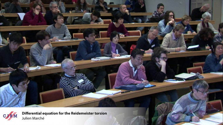 Differential equation for the Reidemeister torsion